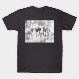 fairyland bleeding hearts, filtered black and white T-Shirt